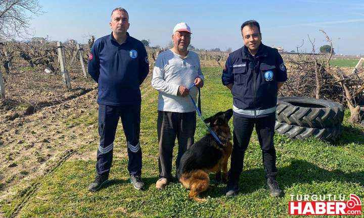 Manisa Büyükşehir Belediyesi sahiplendirmeye devam ediyor
