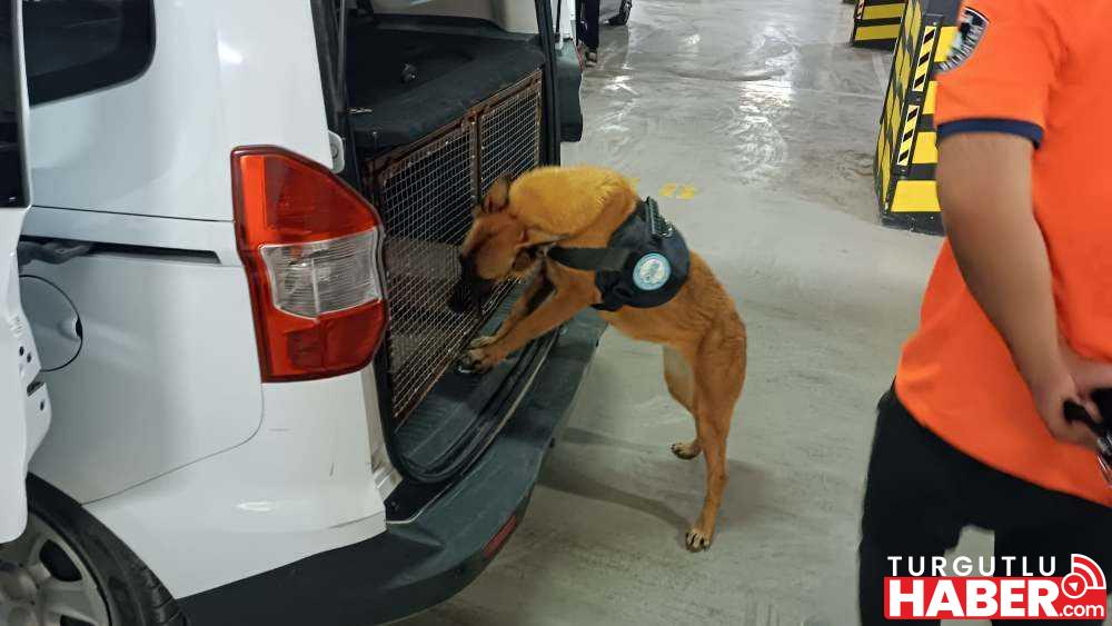 Bomba Arama Köpeği ‘Niobe’ Göreve Hazır