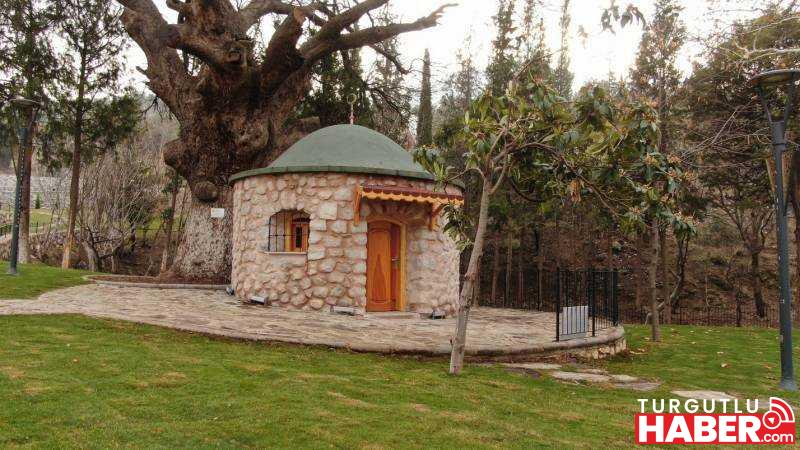 ÇAPAÇARIK BAHARA HAZIR