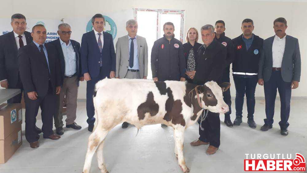 Selendili Hayvan Üreticileri Büyükşehir Desteği
