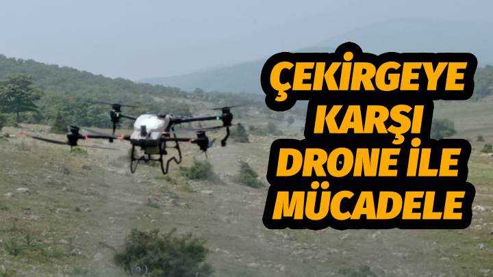 Büyükşehir’den Çekirgeye Karşı Drone İle Mücadele