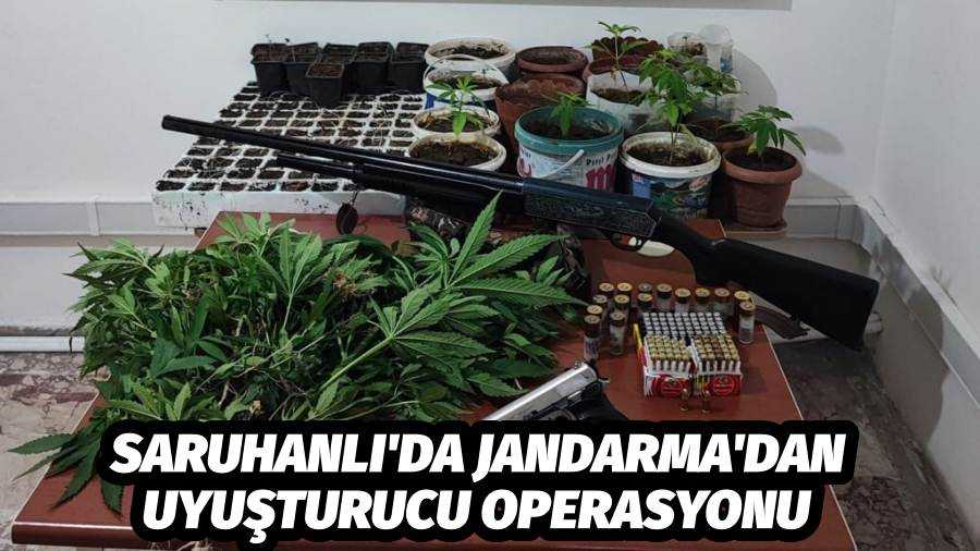 Saruhanlı'da Jandarma'dan uyuşturucu operasyonu