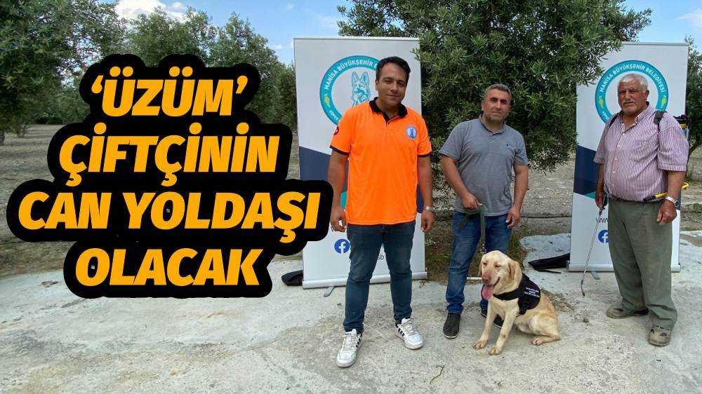‘Üzüm’ Çiftçinin Can Yoldaşı Olacak