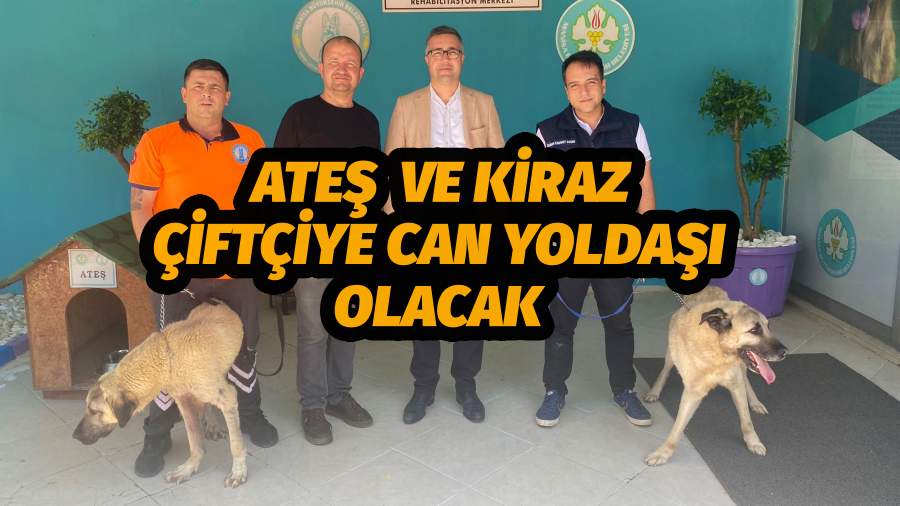 Ateş  ve Kiraz Çiftçiye Can Yoldaşı Olacak