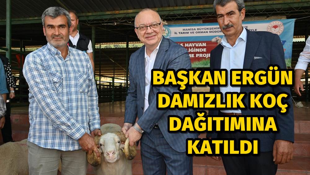 Başkan Ergün Damızlık Koç Dağıtımına Katıldı
