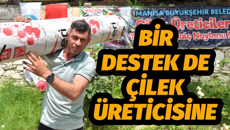 Bir Destek de Çilek Üreticisine