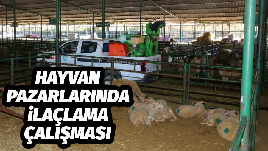 Canlı Hayvan Satış Noktalarında İlaçlama Çalışması