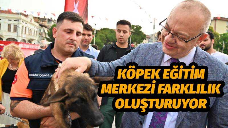 Köpek Eğitim Merkezi Projeleriyle Farklılık Oluşturuyor