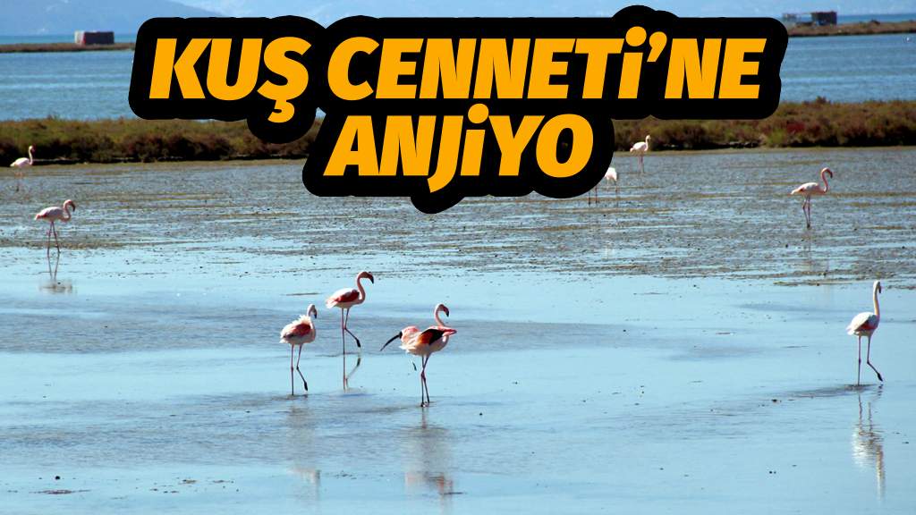 Kuş Cenneti’ne anjiyo: 40 km yatak temizlenecek
