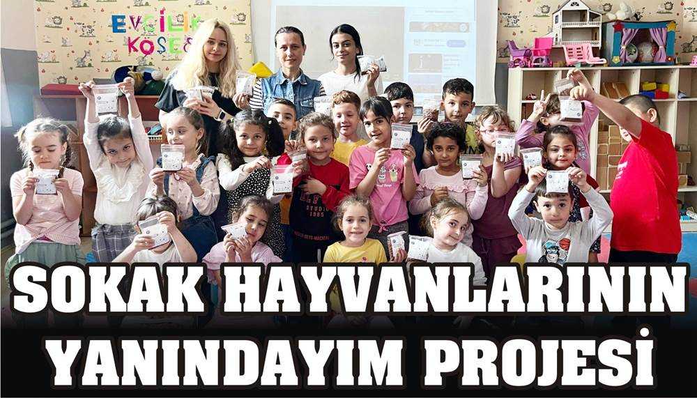 Üniversite Öğrencisinden Sokak Hayvanları İçin Yardım Projesi