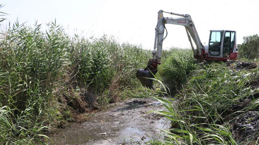 Avdan’lı Üreticilerin Yüzü Gülüyor