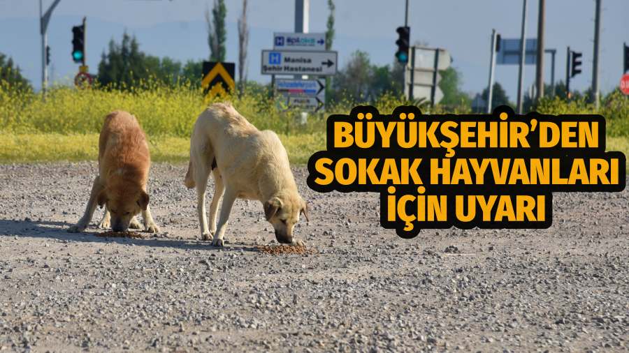 Büyükşehir’den Sokak Hayvanları İçin Uyarı