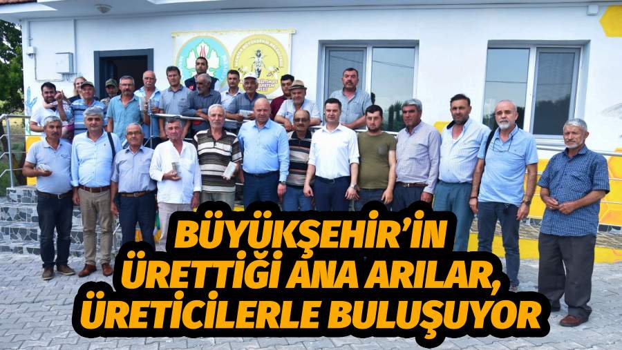 Büyükşehir’in Ürettiği Ana Arılar, Üreticilerle Buluşuyor