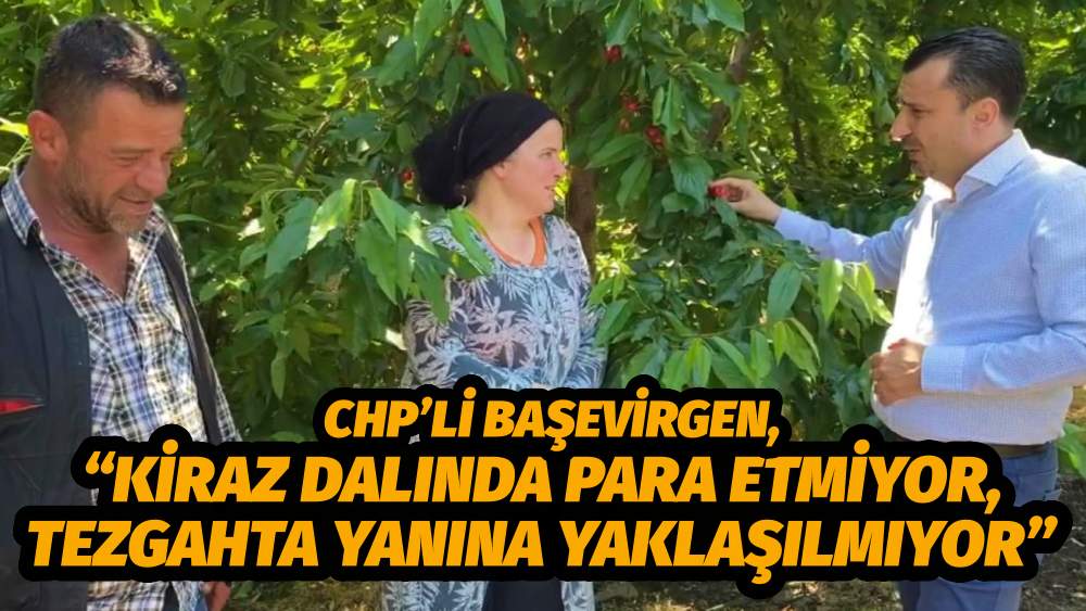CHP’Lİ BAŞEVİRGEN, “KİRAZ DALINDA PARA ETMİYOR, TEZGAHTA YANINA YAKLAŞILMIYOR”