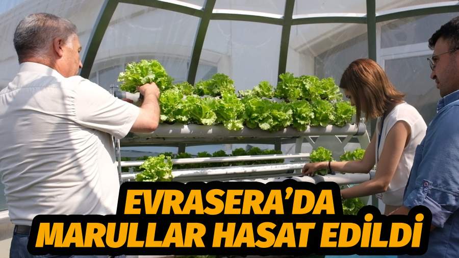 EVRASERA’DA MARULLAR HASAT EDİLDİ