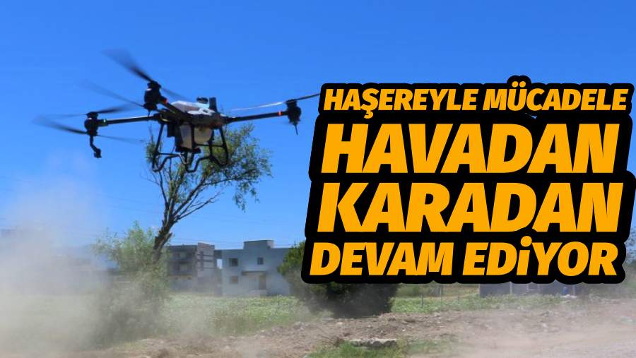 Haşereyle Mücadele Hem havadan Hem Karadan Devam Ediyor