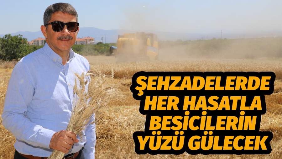 ŞEHZADELERDE HER HASATLA BESİCİLERİN YÜZÜ GÜLECEK 