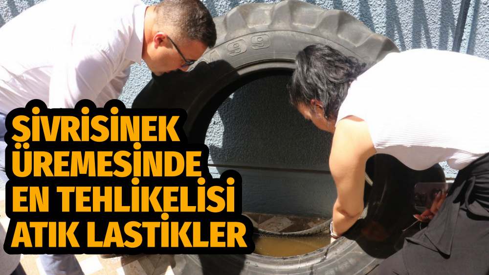 Sivrisinek Üremesinde En Tehlikelisi Atık Lastikler