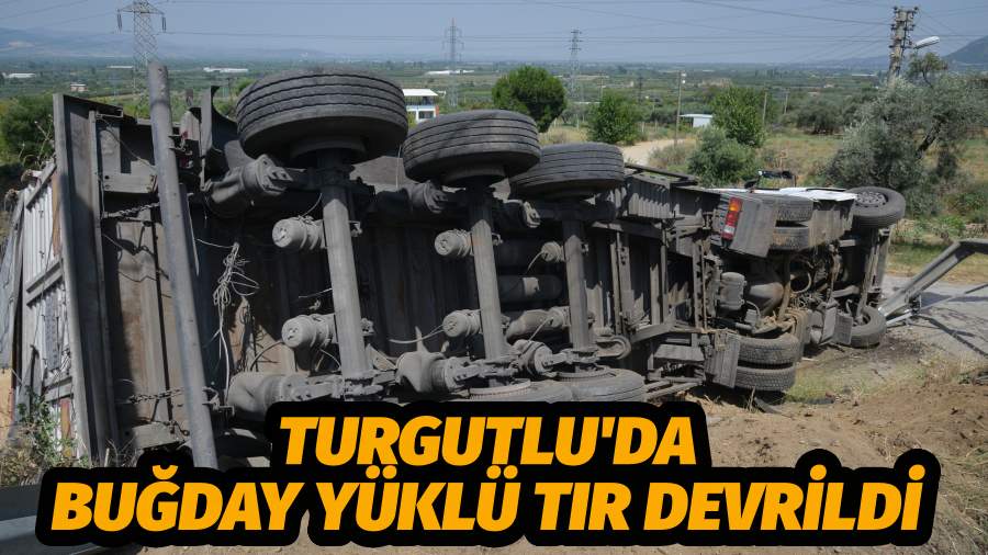 Turgutlu'da freni boşalan park halindeki buğday yüklü tır devrildi