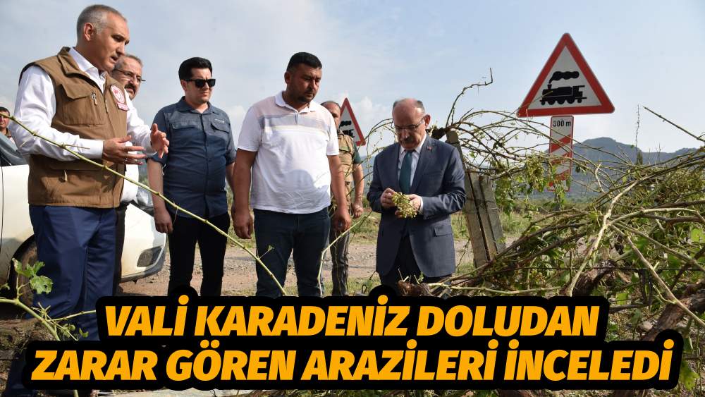 VALİ KARADENİZ DOLUDAN ZARAR GÖREN ARAZİLERİ İNCELEDİ