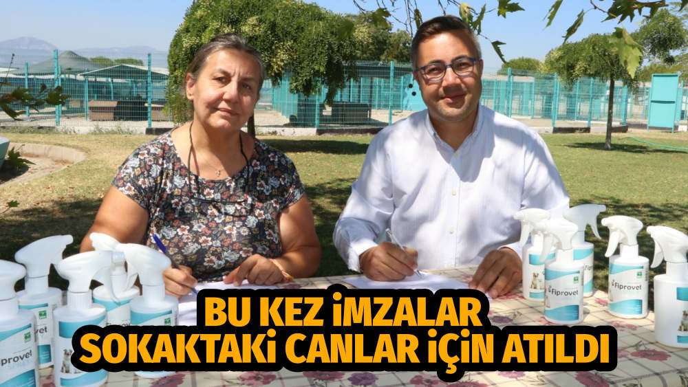 BU KEZ İMZALAR SOKAKTAKİ CANLAR İÇİN ATILDI