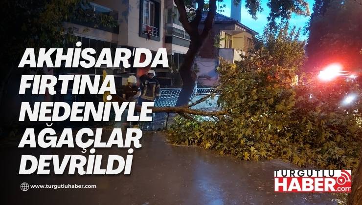 Akhisar'da Fırtına nedeniyle ağaçlar devrildi