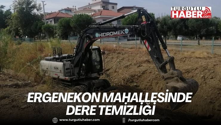 Ergenekon Mahallesinde Dere Temizliği