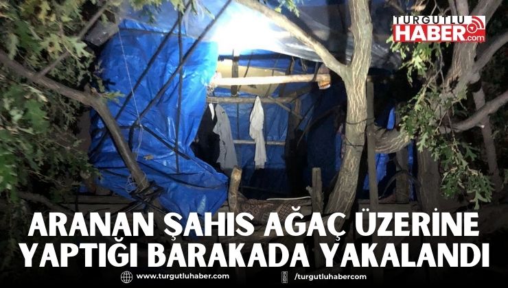 Aranan Şahıs Ağaç Üzerine Yaptığı Barakada Yakalandı