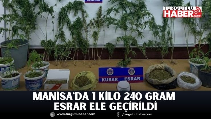 Manisa'da 1 Kilo 240 Gram Esrar Ele Geçirildi