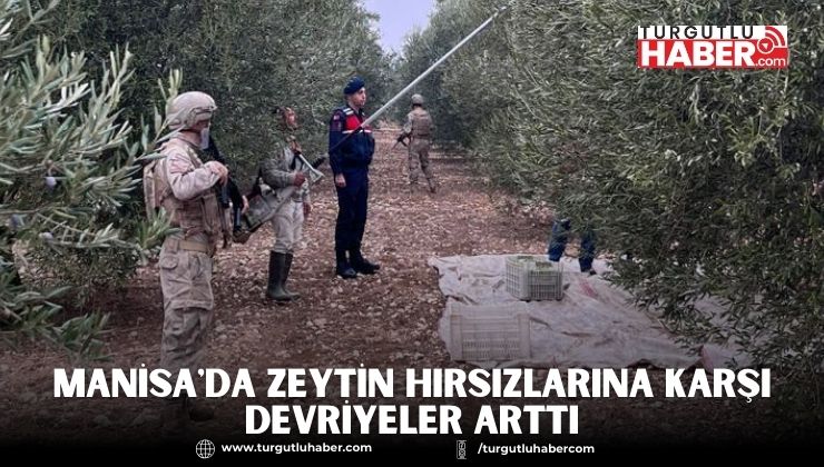 Manisa'da Zeytin Hırsızlarına Karşı Devriyeler Arttı