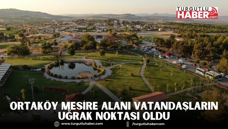 ORTAKÖY MESİRE ALANI VATANDAŞLARIN UĞRAK NOKTASI OLDU