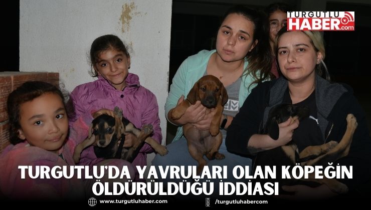 TURGUTLU'DA YAVRULARI OLAN KÖPEĞİN ÖLDÜRÜLDÜĞÜ İDDİASI