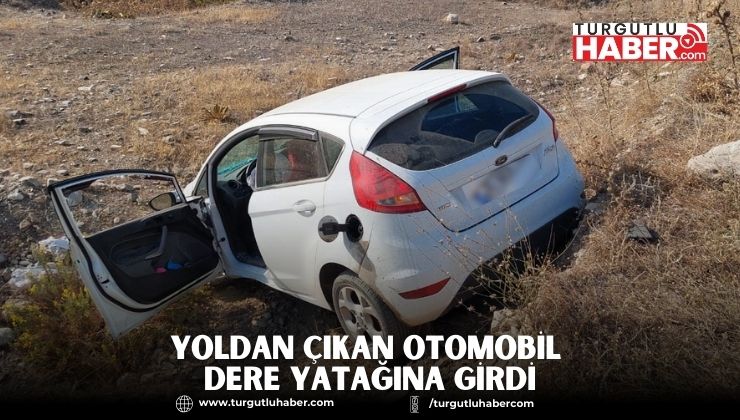Yoldan Çıkan Otomobil Dere Yatağına Girdi