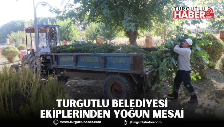 Turgutlu Belediyesi Park ve Bahçeler Müdürlüğü Ekiplerinden Yoğun Mesai