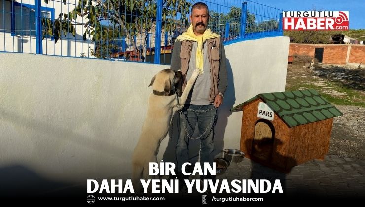 Bir CAN Daha Yeni Yuvasında