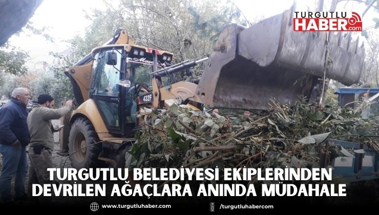 Turgutlu Belediyesi Ekiplerinden Devrilen Ağaçlara Anında Müdahale