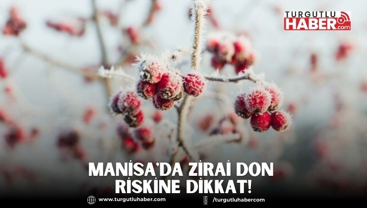 Manisa'da Zirai Don Riskine Dikkat!