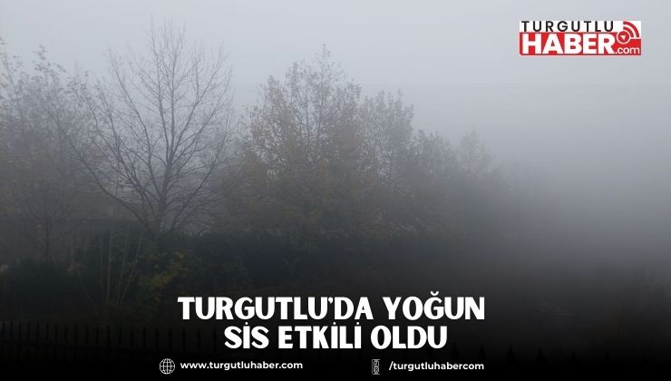 Turgutlu'da Yoğun Sis Etkili Oldu