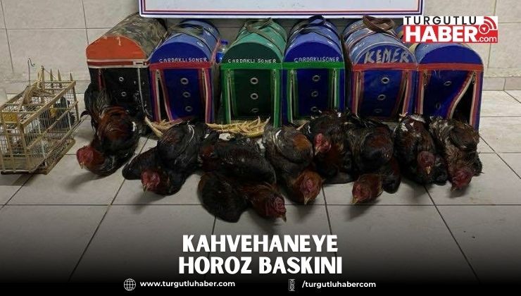 Kahvehaneye Horoz Baskını