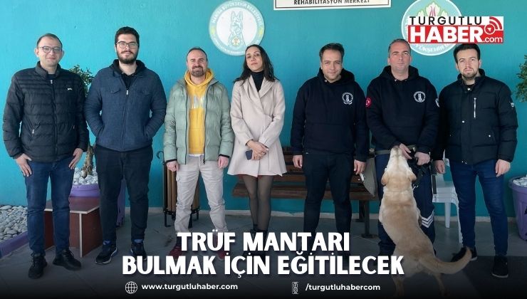 BU KÖPEKLER TRÜF BULMAK İÇİN EĞİTİLECEK