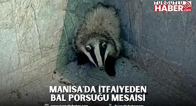 Manisa'da İtfaiyeden bal porsuğu mesaisi