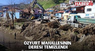 Özyurt Mahallesinin Deresi Temizlendi