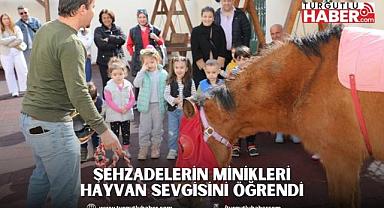 ŞEHZADELERİN MİNİKLERİ HAYVAN SEVGİSİNİ ÖĞRENDİ