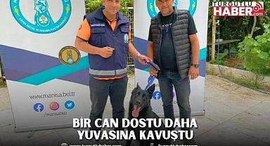 Bir Can Dostu Daha Yuvasına Kavuştu