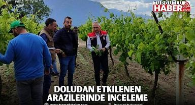 DOLUDAN ETKİLENEN ARAZİLERİNDE İNCELEME