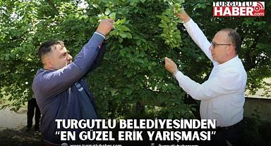 Turgutlu Belediyesinden “En Güzel Erik Yarışması”