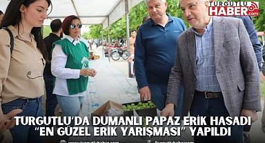 Turgutlu’da Dumanlı Papaz Erik Hasadı “En Güzel Erik Yarışması” Yapıldı