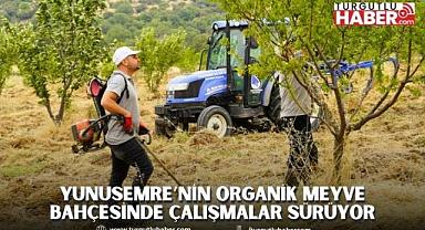 YUNUSEMRE’NİN ORGANİK MEYVE BAHÇESİNDE ÇALIŞMALAR SÜRÜYOR