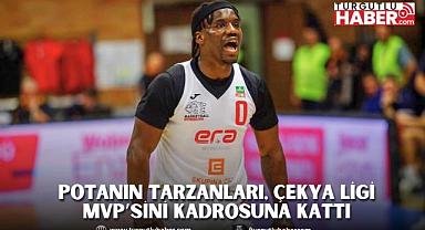 Potanın Tarzanları, Çekya Ligi MVP’sini kadrosuna kattı
