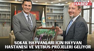 Sokak Hayvanları İçin Hayvan Hastanesi ve Vetbüs Projeleri Geliyor